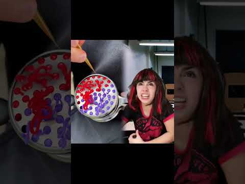 la molesta del curso oarte 5 XDD#funny #joke #comedy #komedie