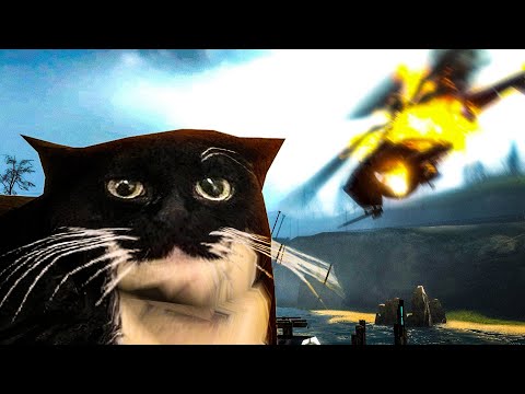 Half-Life 2, но у меня есть кот 2