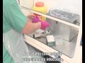 Personal Protective Equipment (PPE) Guidelines