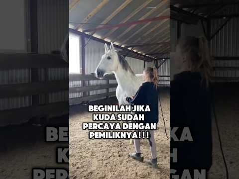 Pura-pura memakaikan tali pada kuda #shorts