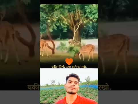 রিজিকের মালিক আল্লাহ এটাই বাস্তব প্রমাণ #shorts #duet #reels #ধাঁধাpoint