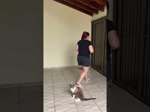 #shorts