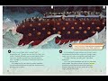 Immigration Stories and Experiences