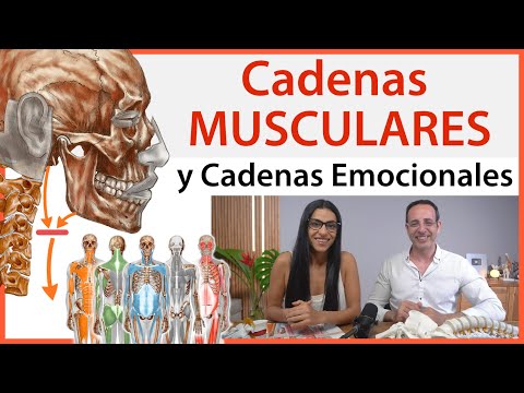 🔴Cadenas Musculares y Postura Corporal: Cómo el Estrés, Ansiedad, Miedos y Creencias Afecta tu Salud