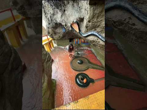 Ek suno na mere bholenath ji #shiv #bholenath #mahadev #shorts