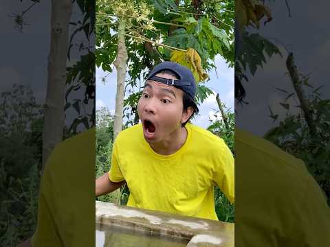 Ayo Tiup Yang Kenceng Agar Menang