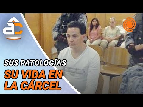 “Dormido” por medicamentos y muchas salidas al odontólogo: cómo era la domiciliaria de Grasso