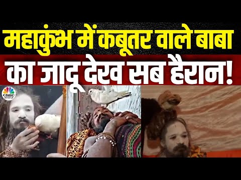 Kabootar wale baba kumbh 2025 : महाकुंभ में कबूतर वाले बाबा का जादू देख सब हैरान! | N18K | Prayagraj