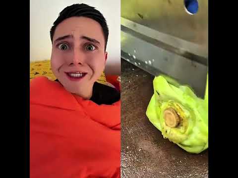 #diegochavez #noflop #paratifyp #xybca #Meme #lentejas #ASMR