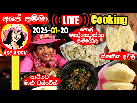 🔴 LIVE Cooking 2024-01-20 අපේ අම්මා අද රෑ හදපු රුලං ඉට්ලි, මාළු බිස්ටේක් සහ මඤ්ඤොක්කා Apé Amma