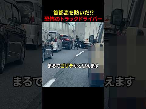 首都高速を止めたトラックドライバー#スカッと#スカッとする話