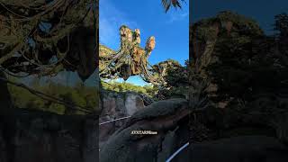 WORLD OF AVATAR✨ (Pandora)