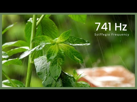 741hz Emotional detox, spiritual cleanse - Solfeggio frequency, healing music, meditation, relax