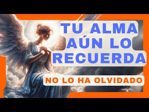 AÚN NO LO HA OLVIDADO💌MENSAJE de los ÁNGELES PARA TI - DIGEON - Arcángel Chamuel - E. VERTI