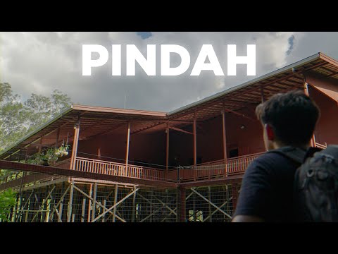 Pindah dari Hutan Kalimantan!