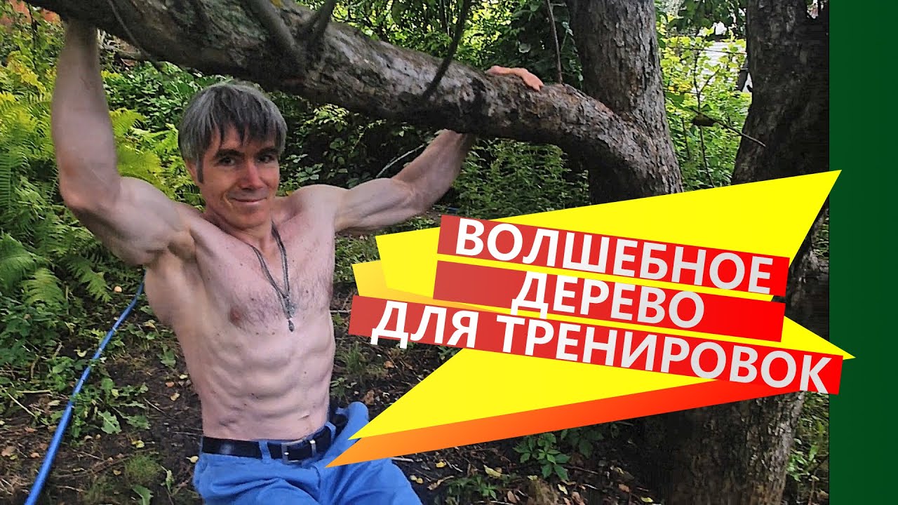 Как заменить ФИТНЕС-КЛУБ простым ДЕРЕВОМ: тренировка на даче