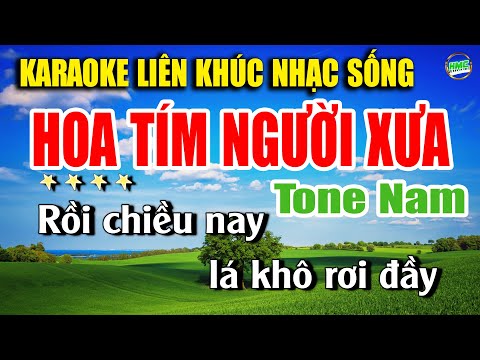 Karaoke Liên Khúc Trữ Tình Tone Nam Dễ Hát | Tuyển Chọn Nhạc Xưa Bolero – HOA TÍM NGÀY XƯA