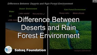 Difference Between Deserts and Rain Forest Environment