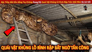 Bậc Thầy Bắt Rắn Bằng Tay Không Đụng Độ Quái Vật Khủng Lồ Rình Rập Trên Mái Nhà Và Cái Kết