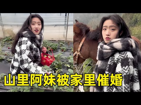 偶遇山里阿妹被催婚！想找個年紀大一點的，一見鍾情想嫁給我！ 【王一點】