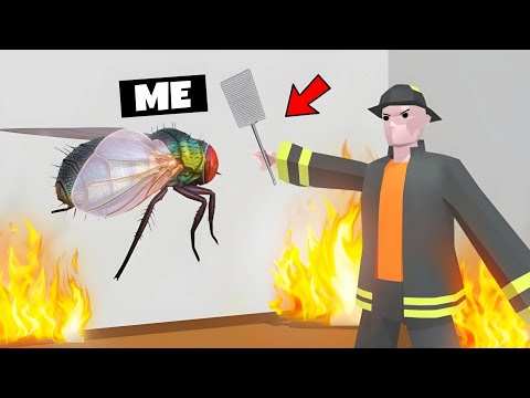 SLAP The ANNOYING FLY Το WIN!  (Slap The Fly)