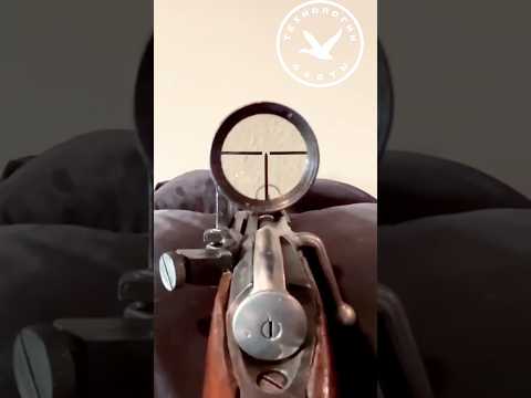 Оптический прицел винтовки Мосина #hunter #hunting #hunt #охота #оружие #shotgun #gun #ружье