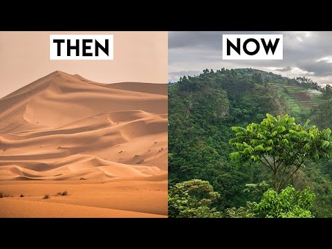 YouTube video thumbnail: How the Sahara Desert Is Turning Into a Farmland Oasis
