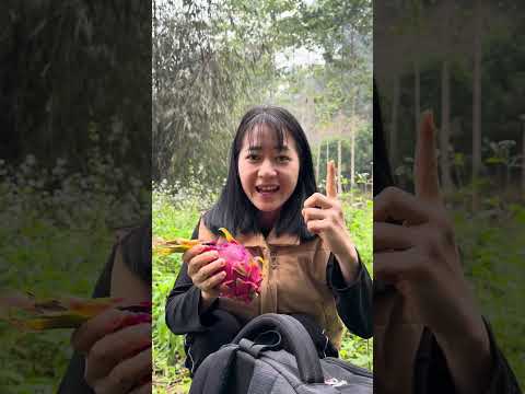 The jungle man stole a girl's dragon fruit to eat #shorts #bushcraft #camping #hacks