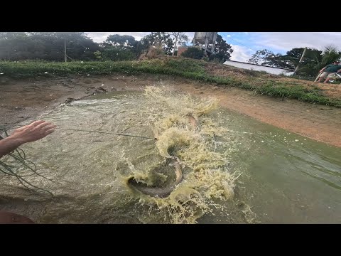 Uma tarrafada e logo em seguida um arrependimento!