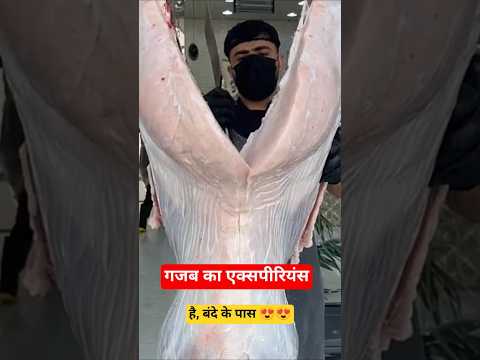 गजब का एक्सपीरियंस है 😍 ll #minivlog #vlog #fypage #fyp #fypシ゚viral #short #youtubeshort #viral