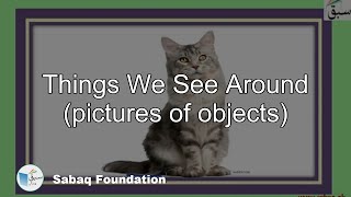 Things We See Around (pictures of objects)