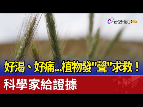 好渴好痛...植物發「聲」求救！ 科學家給證據 - YouTube(1:41)