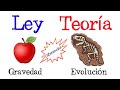 Understanding Scientific Theories and Laws
