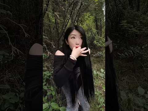masteran burung viral kocak bikin ngakak hiburan warga +62 fuunyvideos
