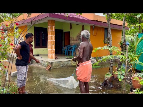 ഇങ്ങനെ പോയാൽ ഉടനെ തന്നെ അടുക്കളയിലും വീശാൻ പറ്റും. .