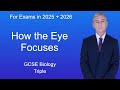Vision Correction and Eye Function