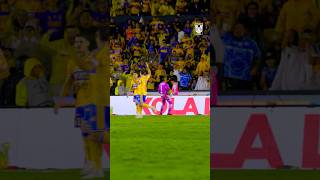 ¿14 penales atajados en Liga Mx? 👉🏼 𝑵𝑨𝑯𝑼𝑬𝑳 𝑰𝑮𝑵𝑨𝑪𝑰𝑶 𝑮𝑼𝒁𝑴𝑨́𝑵 𝑷𝑨𝑳𝑶𝑴𝑬𝑸𝑼𝑬.