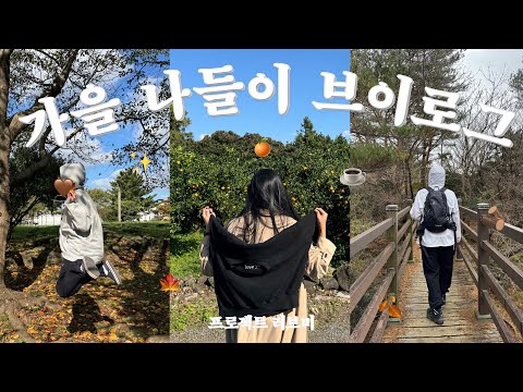 가을 나들이 브이로그🍁 | 공포의 한라산 | 딸기 콩폭탄 | 가을 공원 산책 | 억새가 예쁜 오름 | 호박죽과 수정과 | 장아찌 메밀국수 | 고구마 맛탕 | 제주 자취  vlog