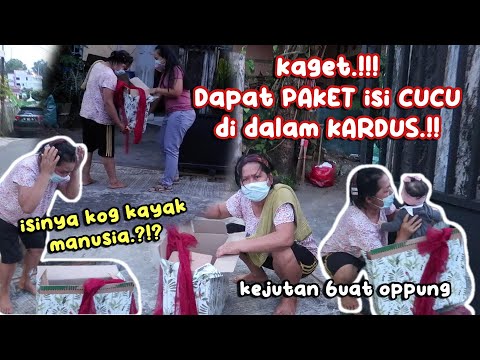 KEJUTAN PAKET CUCU DI DALAM KARDUS.! DIKIRA DAPAT BONEKA.! SAMPE NANGIS BANJIR AIR MATA