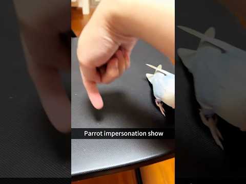 #funny #funnypetclub #pets #fyp #pet #animals