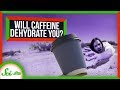 Understanding Caffeine and Hydration