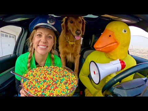 Rubber Ducky Surprises  Puppy & Police with Car Ride Chase!