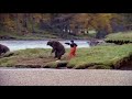 John West's Salmon Quality Commitment