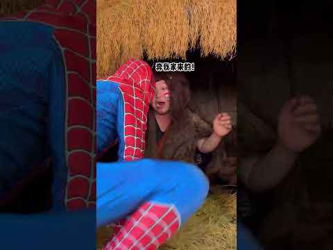 Bean vs  Spider Man#Take you to experience the joy of being a wild man#Wild man Dou Dou#Mental