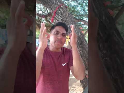 el lorito y el cultivo de yuca ๐ฑ๐๐๐ #humor #comedia #shorts #viral