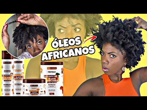 EXPLOSÃO DE ÓLEOS AFRICANOS DEIXOU MEU CABELO ASSIM