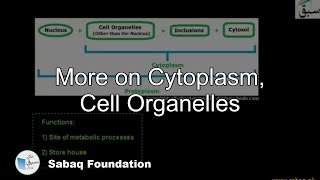 More on Cytoplasm, Cell Organelles