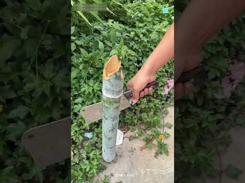 This Method Is Amazing - Bamboo Lifehack 🤯