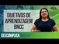 BNCC and Early Childhood Education