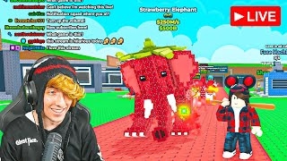 I Stole a STRAWBERRY ELEPHANT in Steal a Brainrot | #EpicPartner (Steal the Brainrot)